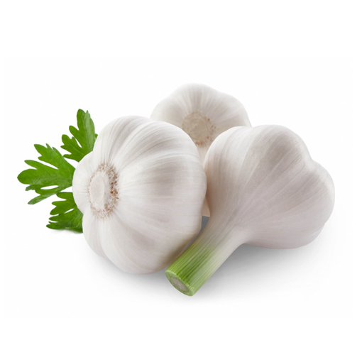 Picture of Garlic